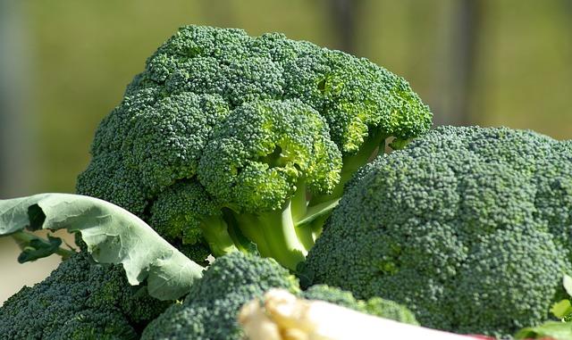Brokkoli für deine Diät